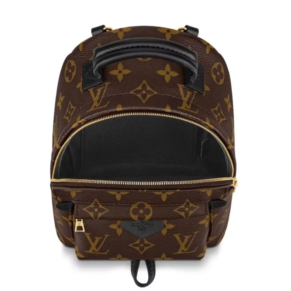 Like NEW!! LV Louis Vuitton PALM MONOGRAM SPRINGS MINI Backpack Bumbag Crossbody - Picture 5 of 16